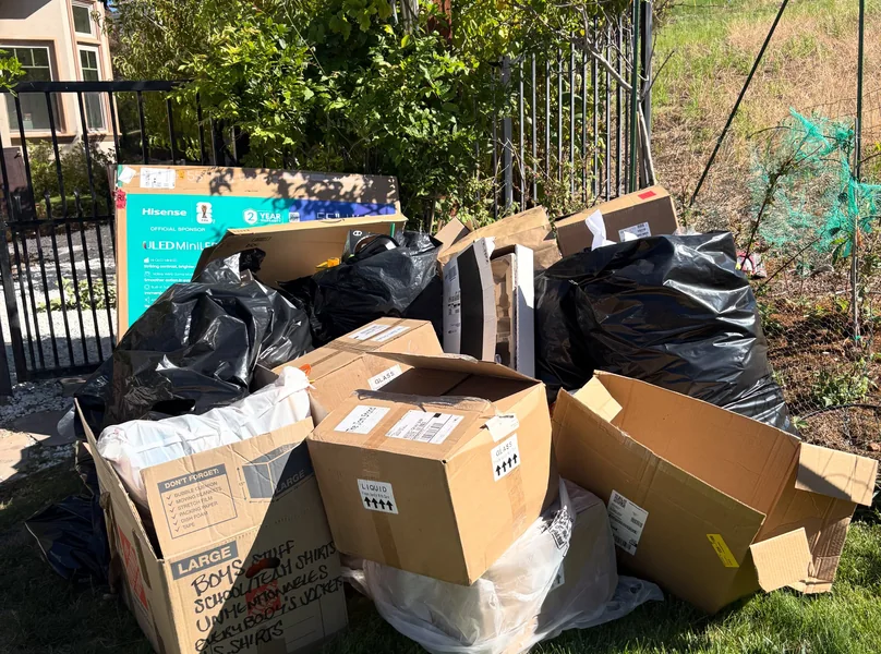 Curbside junk pickup — project photo 1