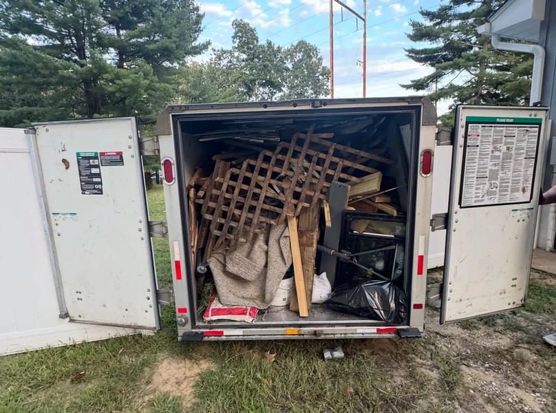 Backyard cleanup — project photo 2