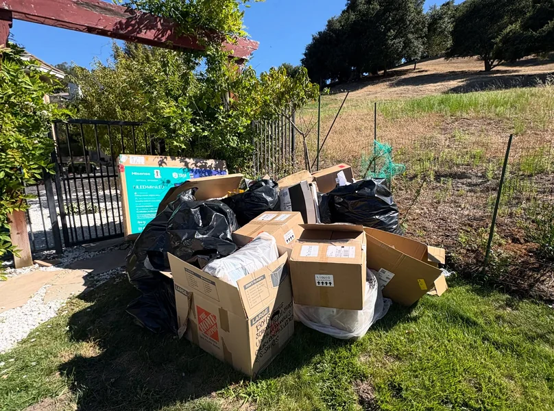 Curbside junk pickup — project photo 2