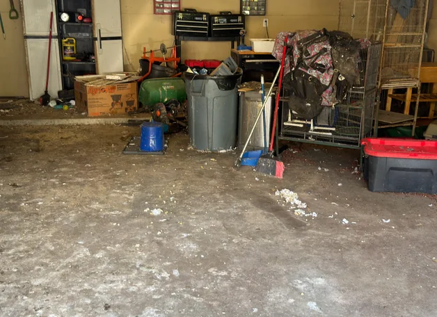 Furniture and junk pickup — Phoenix