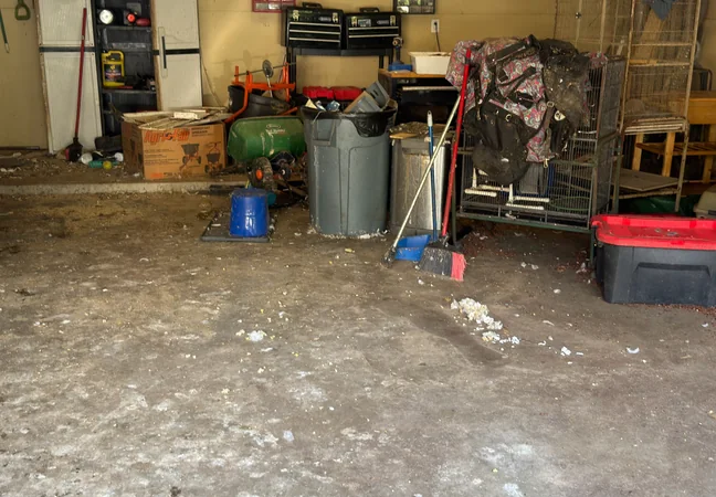Furniture and junk pickup — Phoenix