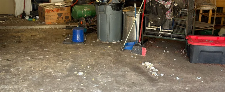Garage Clean Outs — loading and cleanup