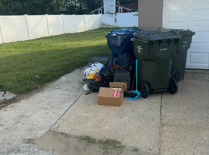 Backyard cleanup — project photo 6