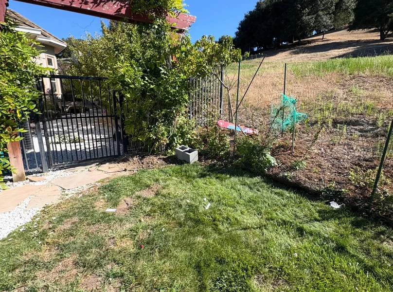 Curbside junk pickup — project photo 3