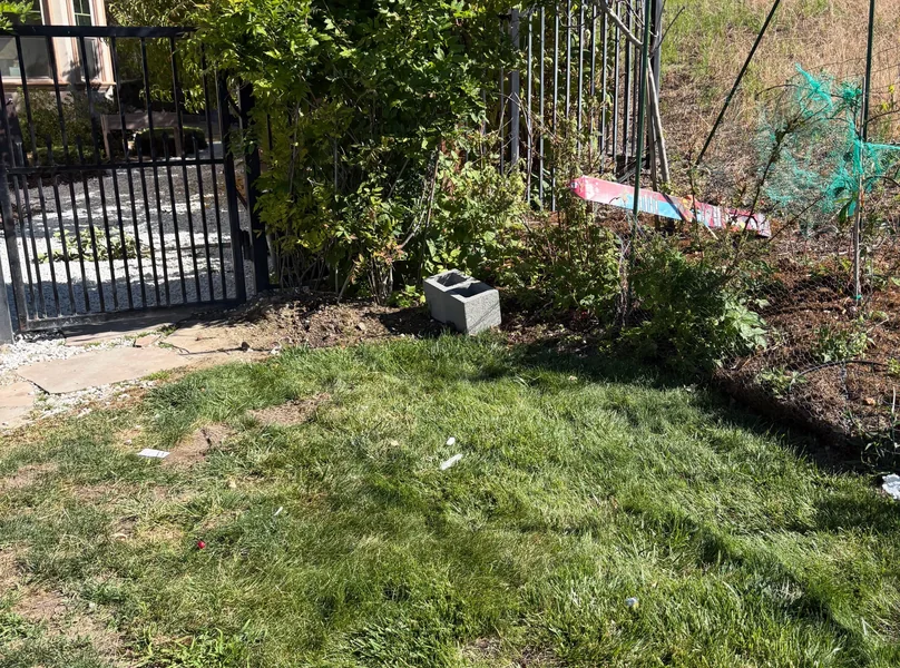 Curbside junk pickup — project photo 4