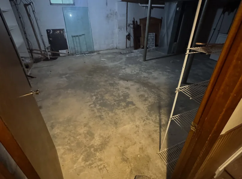 Backyard cleanup — project photo 10